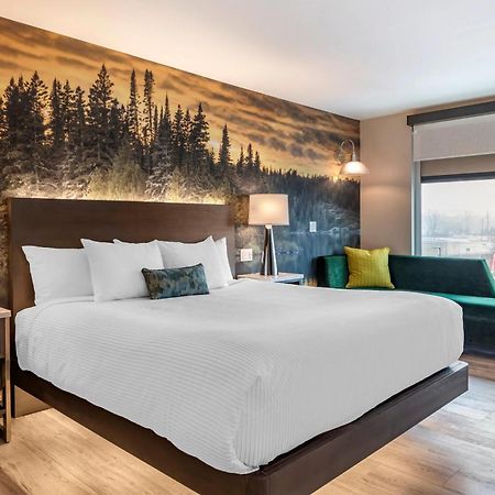 Cambria Hotel Shelby Township - Detroit Utica Shelby Twp Eksteriør billede