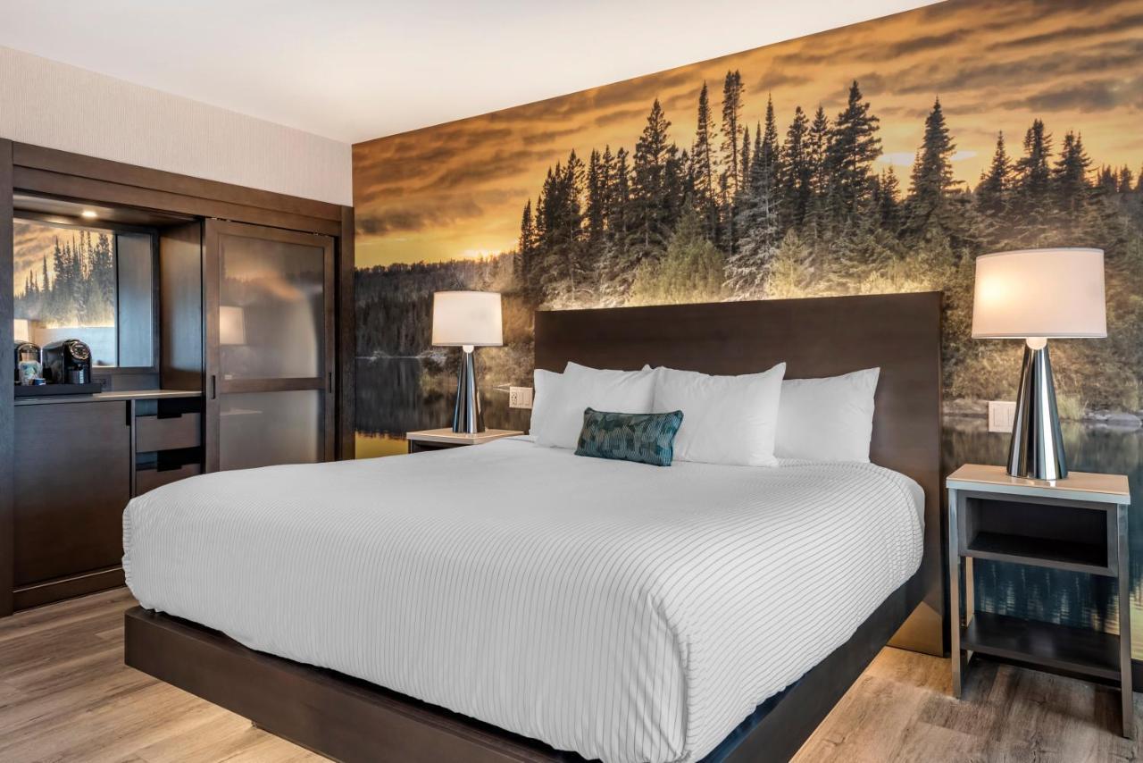 Cambria Hotel Shelby Township - Detroit Utica Shelby Twp Eksteriør billede