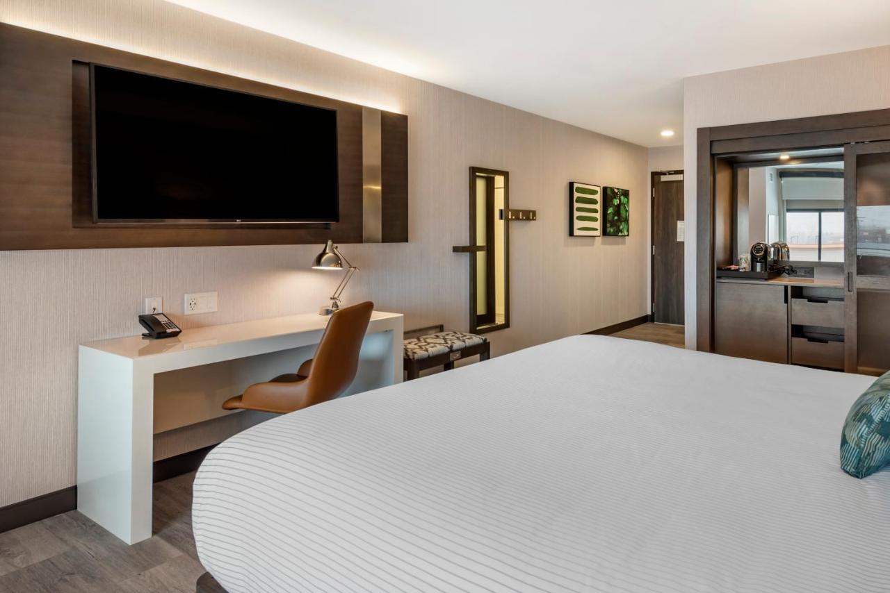 Cambria Hotel Shelby Township - Detroit Utica Shelby Twp Eksteriør billede