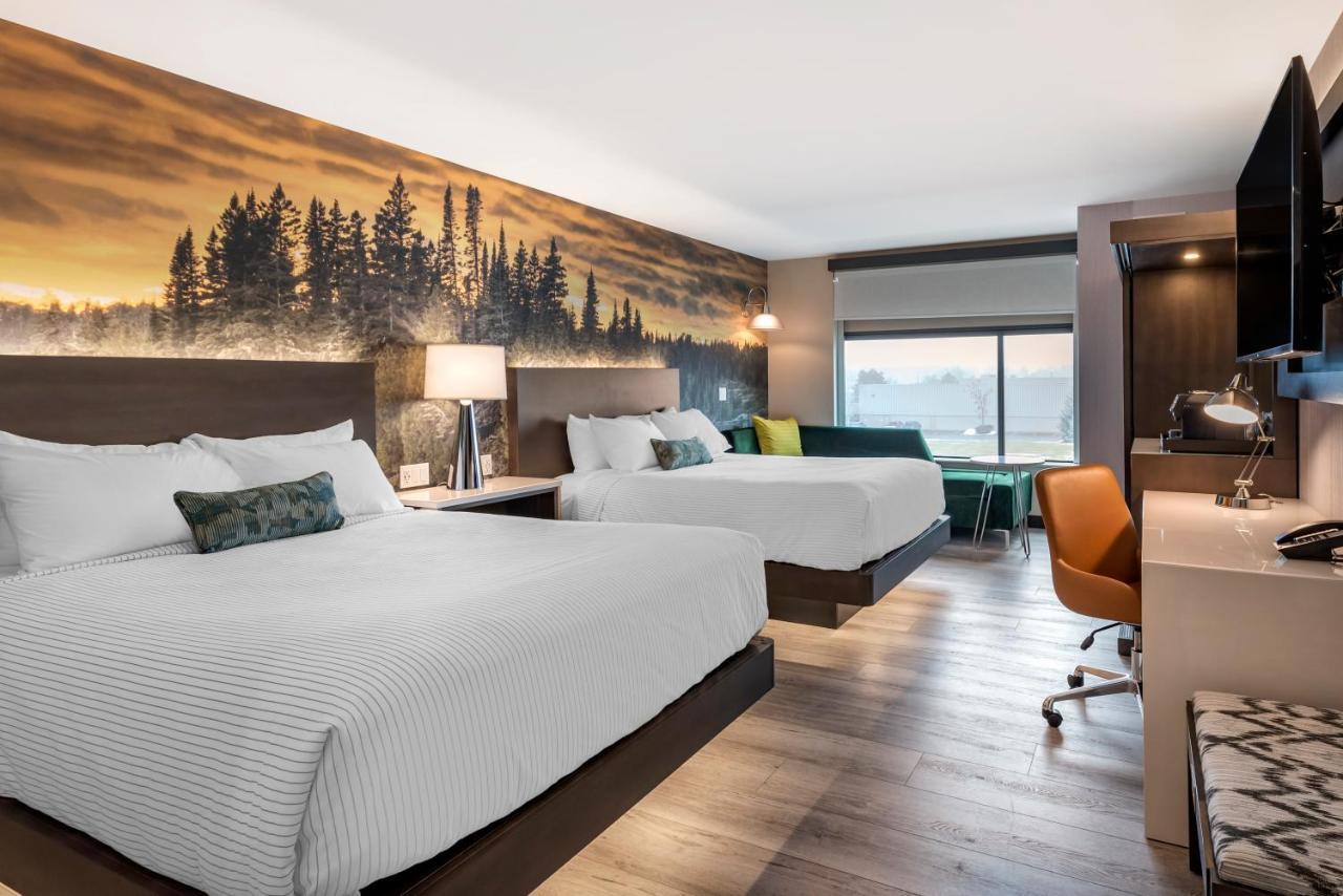 Cambria Hotel Shelby Township - Detroit Utica Shelby Twp Eksteriør billede