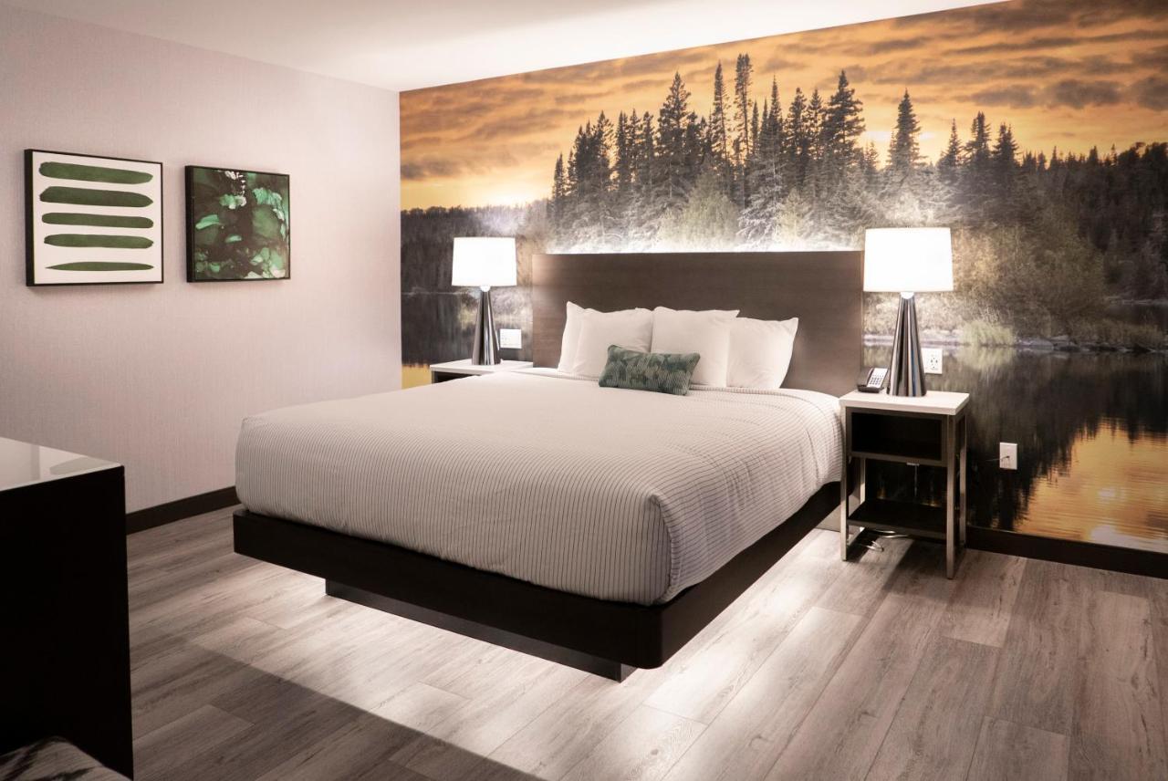 Cambria Hotel Shelby Township - Detroit Utica Shelby Twp Eksteriør billede