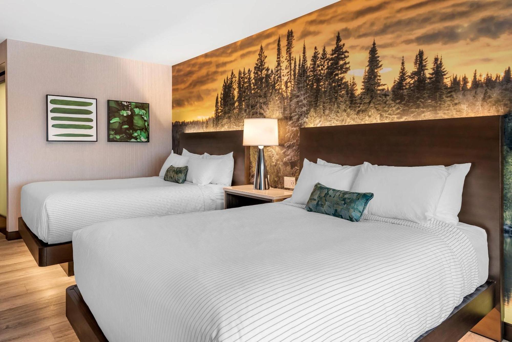 Cambria Hotel Shelby Township - Detroit Utica Shelby Twp Eksteriør billede