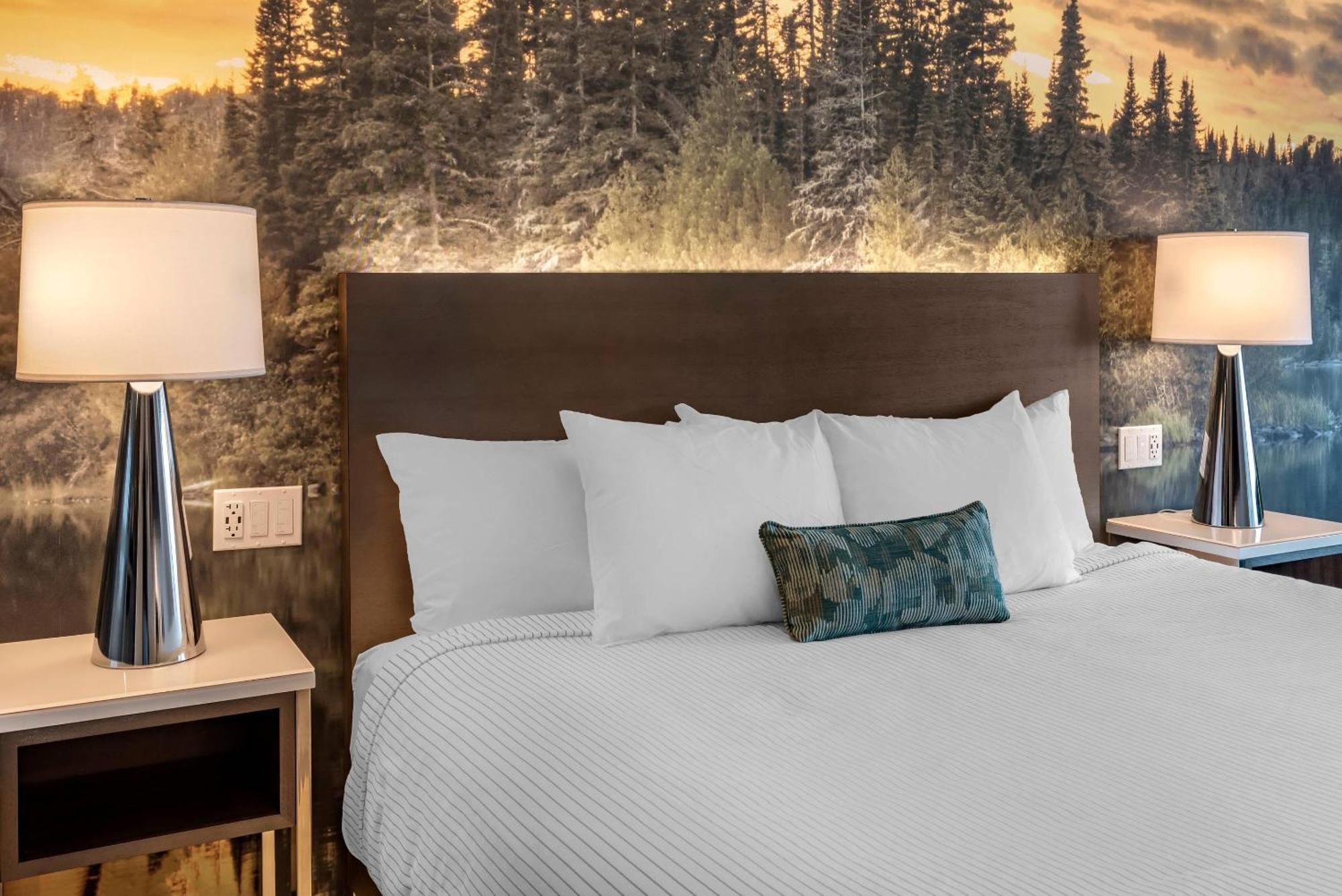 Cambria Hotel Shelby Township - Detroit Utica Shelby Twp Eksteriør billede
