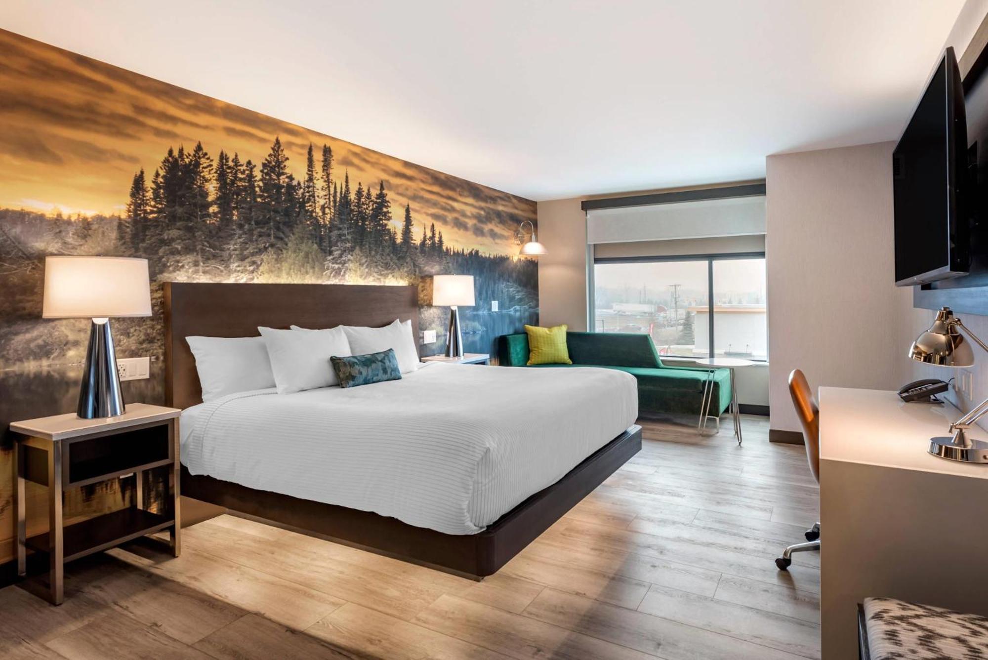 Cambria Hotel Shelby Township - Detroit Utica Shelby Twp Eksteriør billede