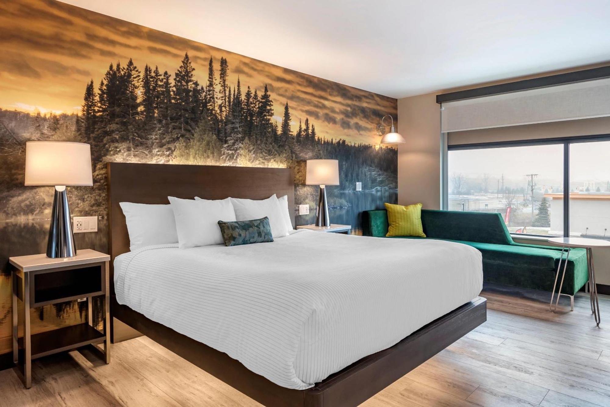 Cambria Hotel Shelby Township - Detroit Utica Shelby Twp Eksteriør billede